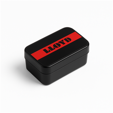 LLOYD Mini Shoeshine 1.0