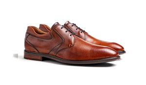 LLOYD Køb sko til mænd fra aktuelle